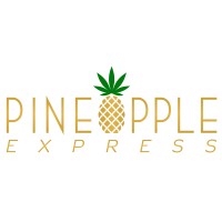 Pineapple Ventures, Inc